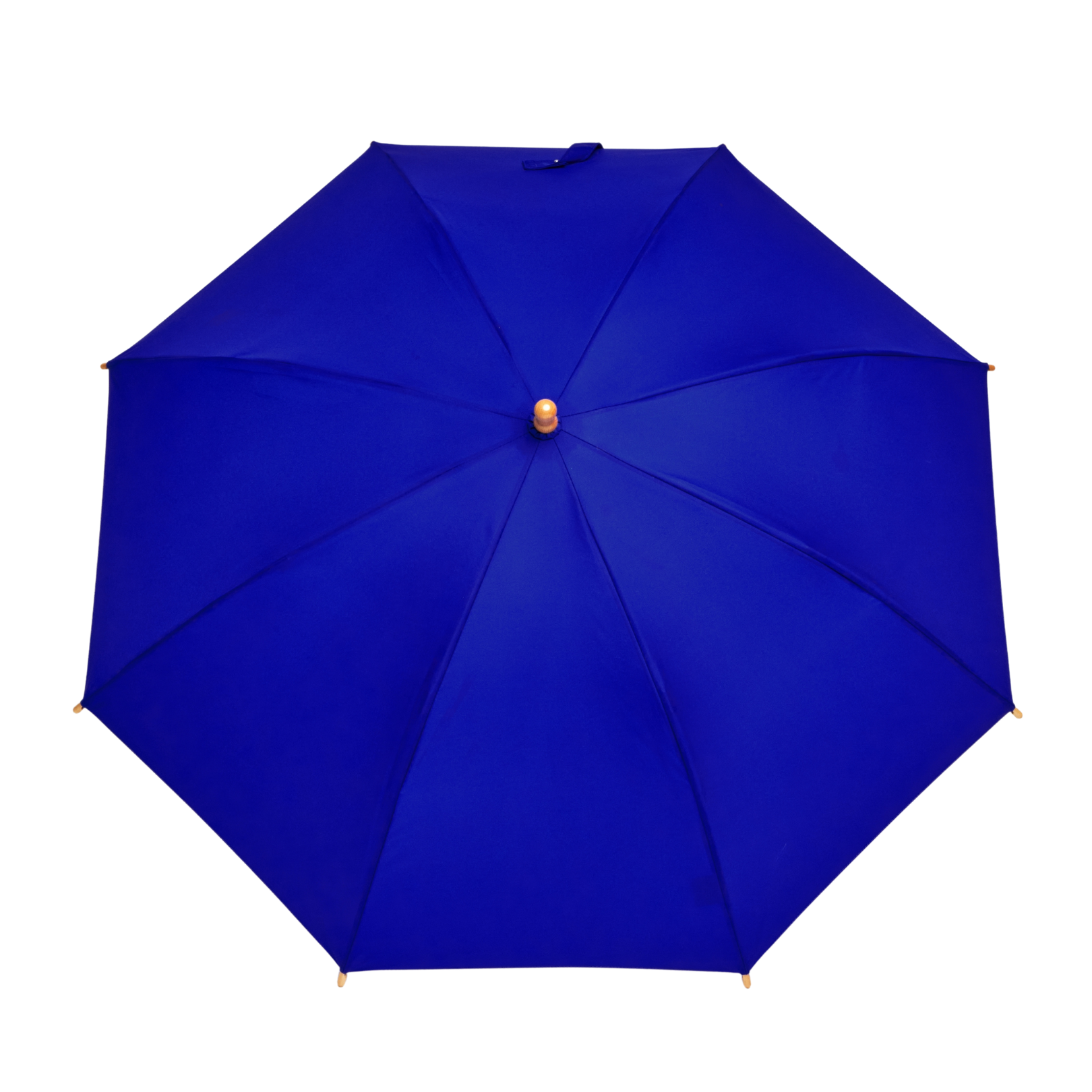 Royal Blue Duckling Children's Umbrella